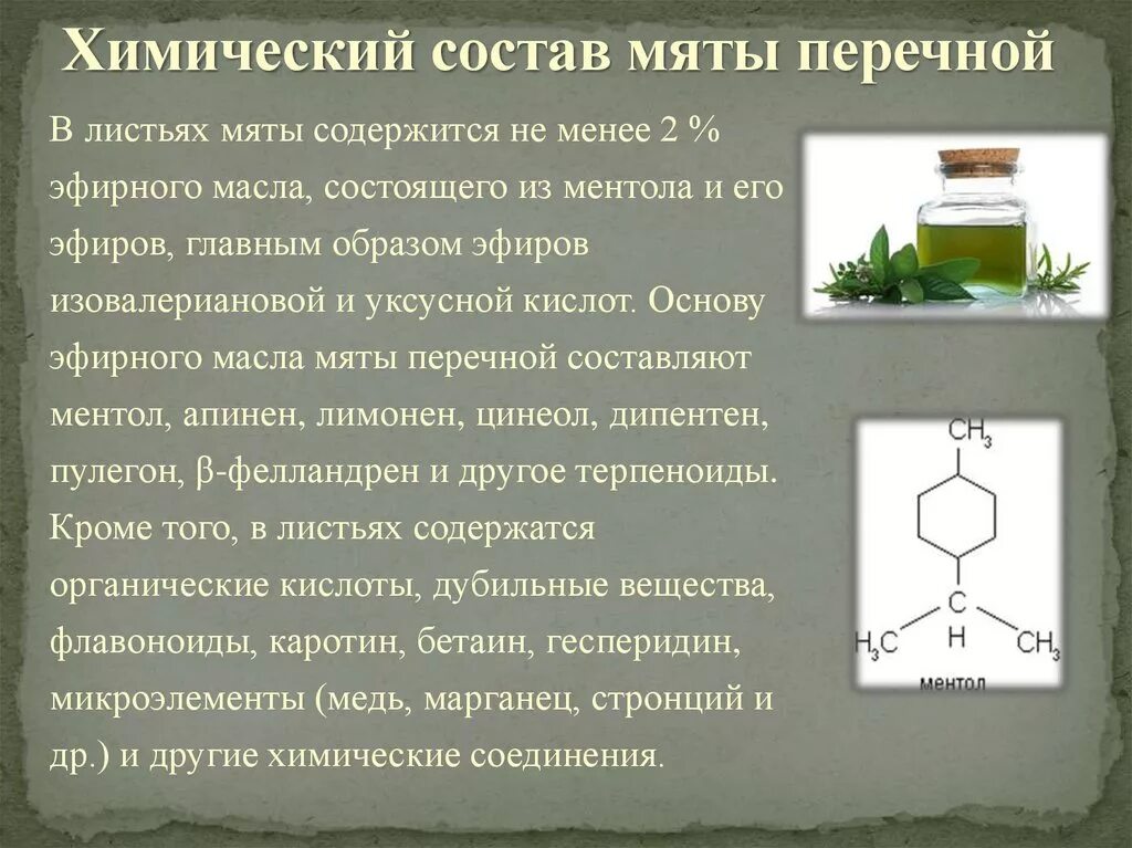 Мяты перечной листьев масло. Химическая формула эфирного масла мяты. Химический состав мяты. Мята химический состав. Химия эфирного масла перечной мяты.