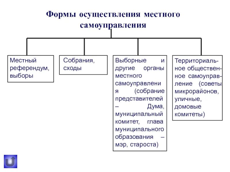 Деятельность в органах местного самоуправления осуществляется. Органы осуществления местного самоуправления. Формы деятельности органов местного самоуправления.. Выборные органы муниципального образования. Формы осуществления местного самоуправления в РФ.