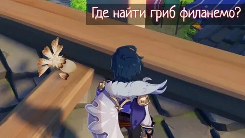 Грибы филамено геншин