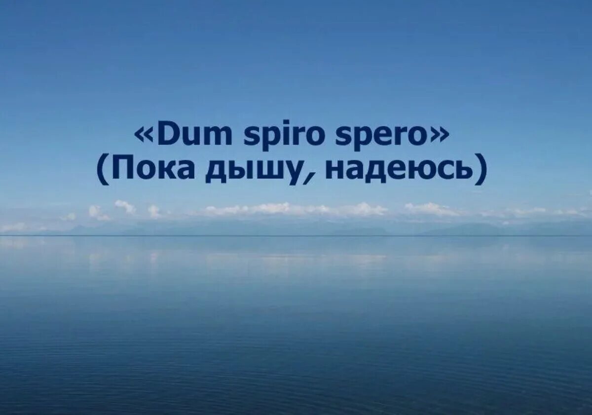 Пока дышу живу. Dum Spiro spero (пока дышу, надеюсь). Пока дышу надеюсь на латыни. Пока живу надеюсь. Фраза на латыни пока дышу надеюсь.