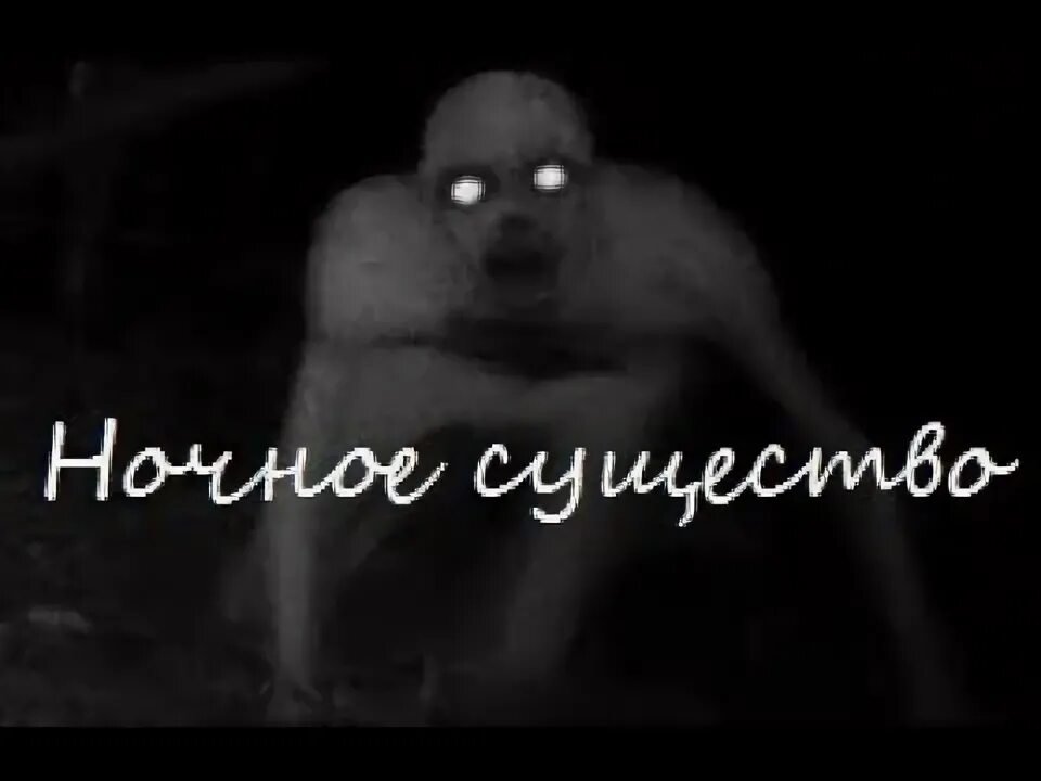 Страшные истории на ночь слушать кот бегемот. Страшилка ужас ночи носферату. ворлд кот бегемот страшные истории на ночь.