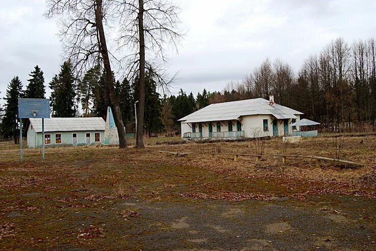 Пионер лагерь новосибирск. Пионерский лагерь березка новосибирск. Пионерлагерь незабудка новосибирск. Пионерлагерь таежный. Пионерский лагерь в деревне ракула от завода ,,красная кузница,,60 годы.