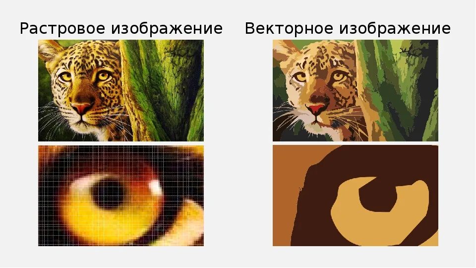 Примеры изображений. Растровое и векторное изображение. Векторное и растровое изибражени. Пример растрового и векторного изображения. Векторно и растровое еизображе.