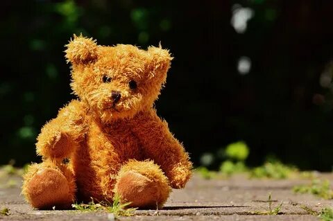 Teddy bear картинки