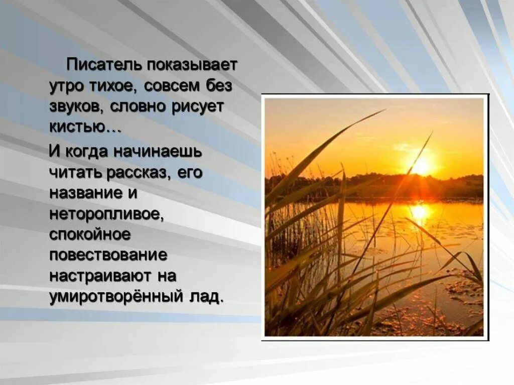 Ю П Казаков тихое утро. Рассказ ю.Казакова "тихое утро". Ю.П. Казаков. Рассказ «тихое утро».. Краткое содержание рассказа тихое утро