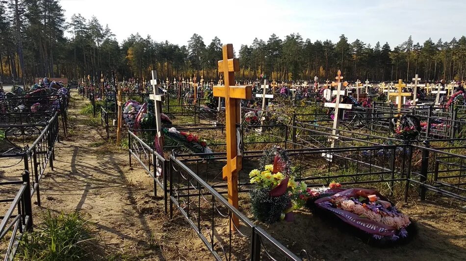 Могила дата выхода