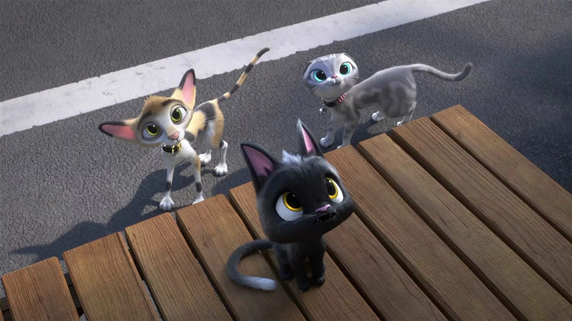 кот рудольф мультфильм. жил был кот имя. жил был кот имя. кот рудольф мультфильм. черный кот рудольф мультфильм.