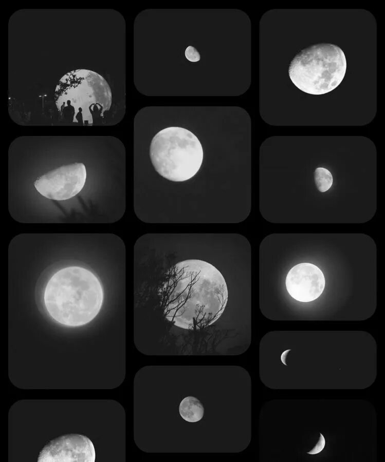 The moon knows. Камера на Луне. Тусбихун.