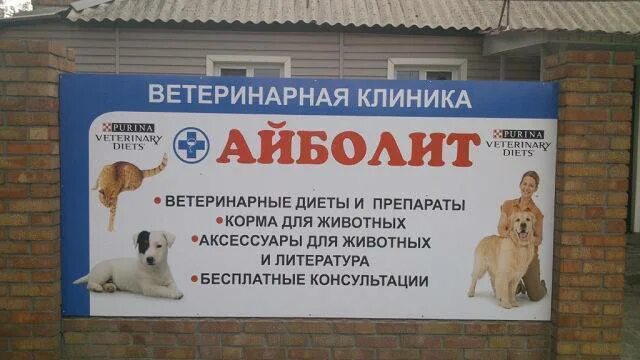 Реклама ветеринарной клиники. Ветеринарная клиника вывеска. Ветеринарная аптек для животни. Айболит пятигорск