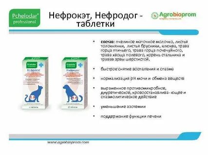 Нефродог для собак