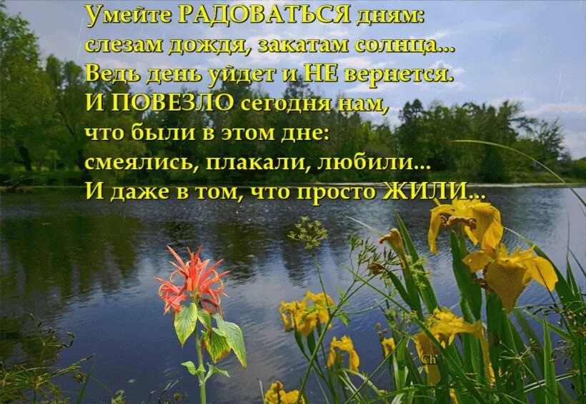 Добрый вечер тоби текст. Радуйся солнцу текст песни. Колядка добрый вечер тоби текст. Радуйся солнцу текст песни. Радуйся солнцу текст песни.