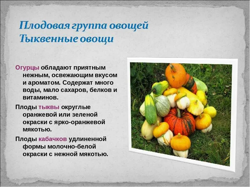 Значение тыквенных