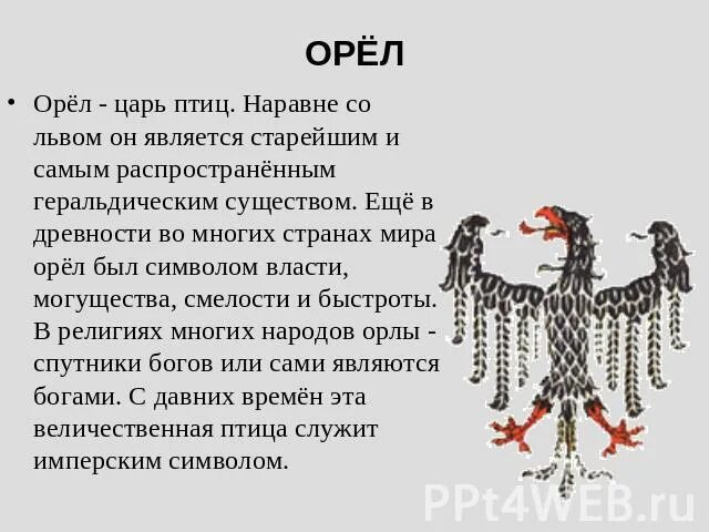 Как звали царя птиц в комедии птицы. Царь птица. кто король птиц. царь всех птиц. кто является королём птиц.