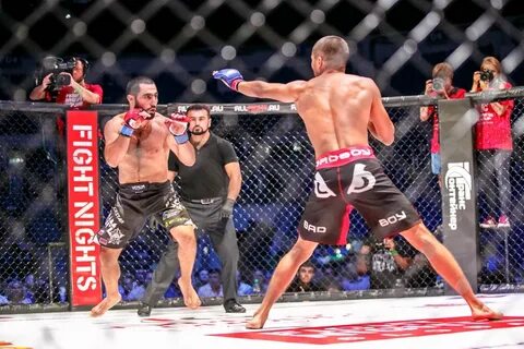 Турнир fight
