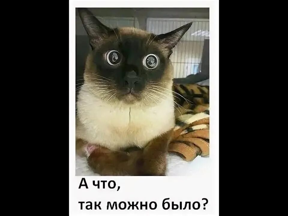 А так можно было. А что так можно было. а что так можно было картинка. а что так можно было что ли. а что так можно было мем.