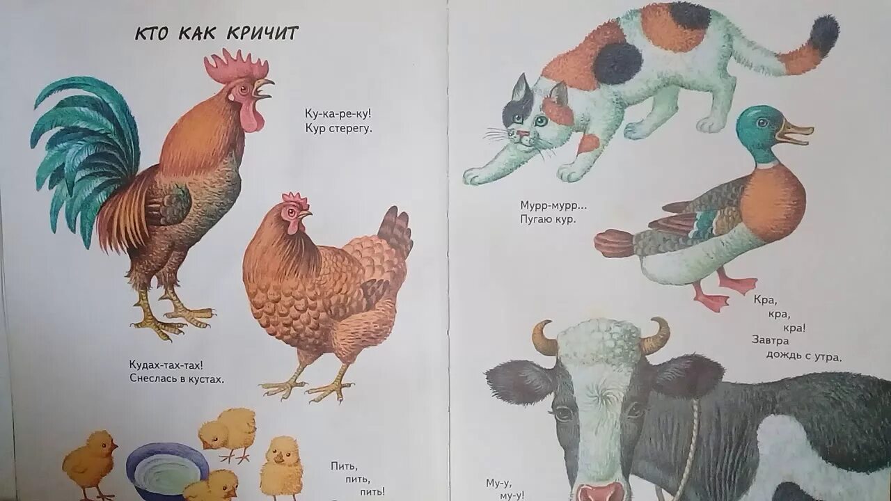 Стих кто как кричит. Кто как кричит Барто. Барто кто как кричит стихотворение. Кто как кричит.