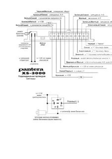 Порно секс шашты ебля үйсіз адам