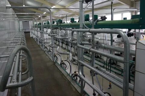 Коровников великий новгород
