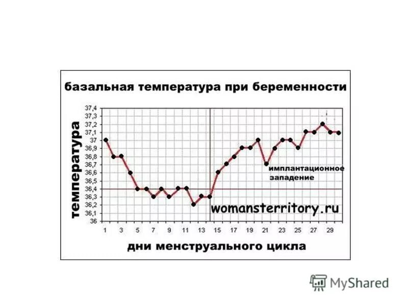 Температура на первых неделях беременности. БТ имплантационное западение на графике БТ. Имплантационное западение базальной температуры. Графики базальной температуры с имплантационным западением. Имплантационное западение БТ.