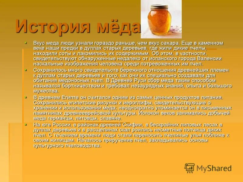 Проект натуральный и искусственный мед