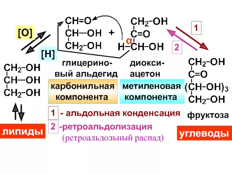 Оксосоединения. Ретроальдольная конденсация. Реакция альдольного расщепления. Ретроальдольный распад. Альдольное расщепление фруктозы.