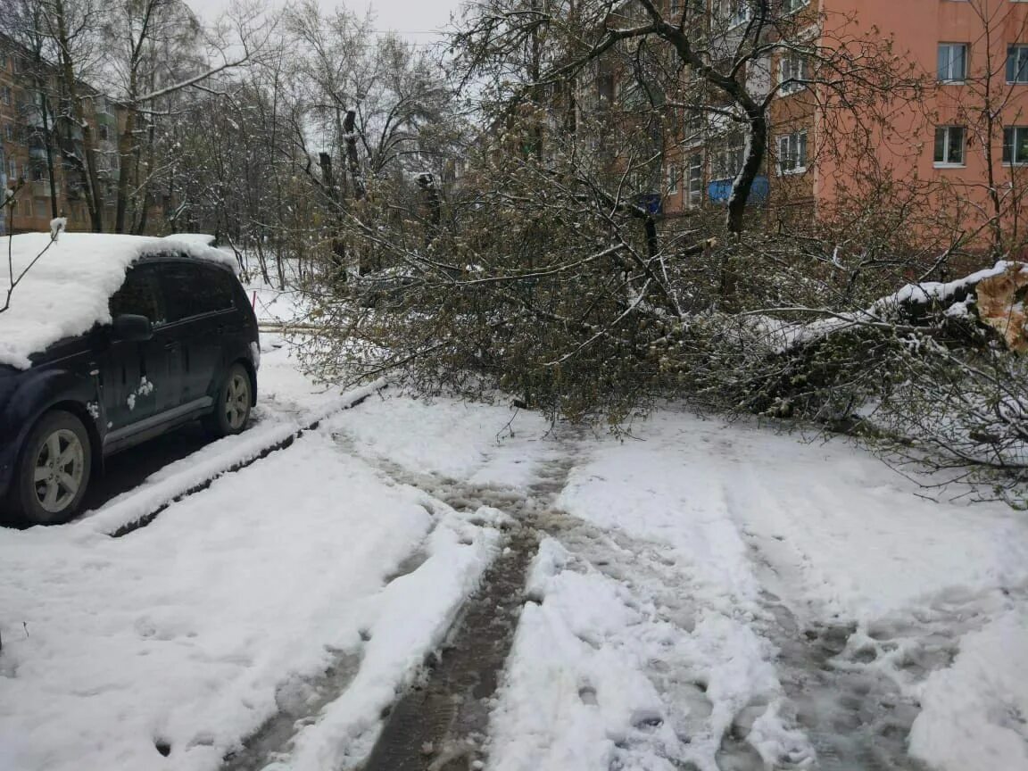 Снег в сентябре какая. Белгород 27-28 последствия непогоды. Упавшие деревья из-за мокрого снега Заречный.