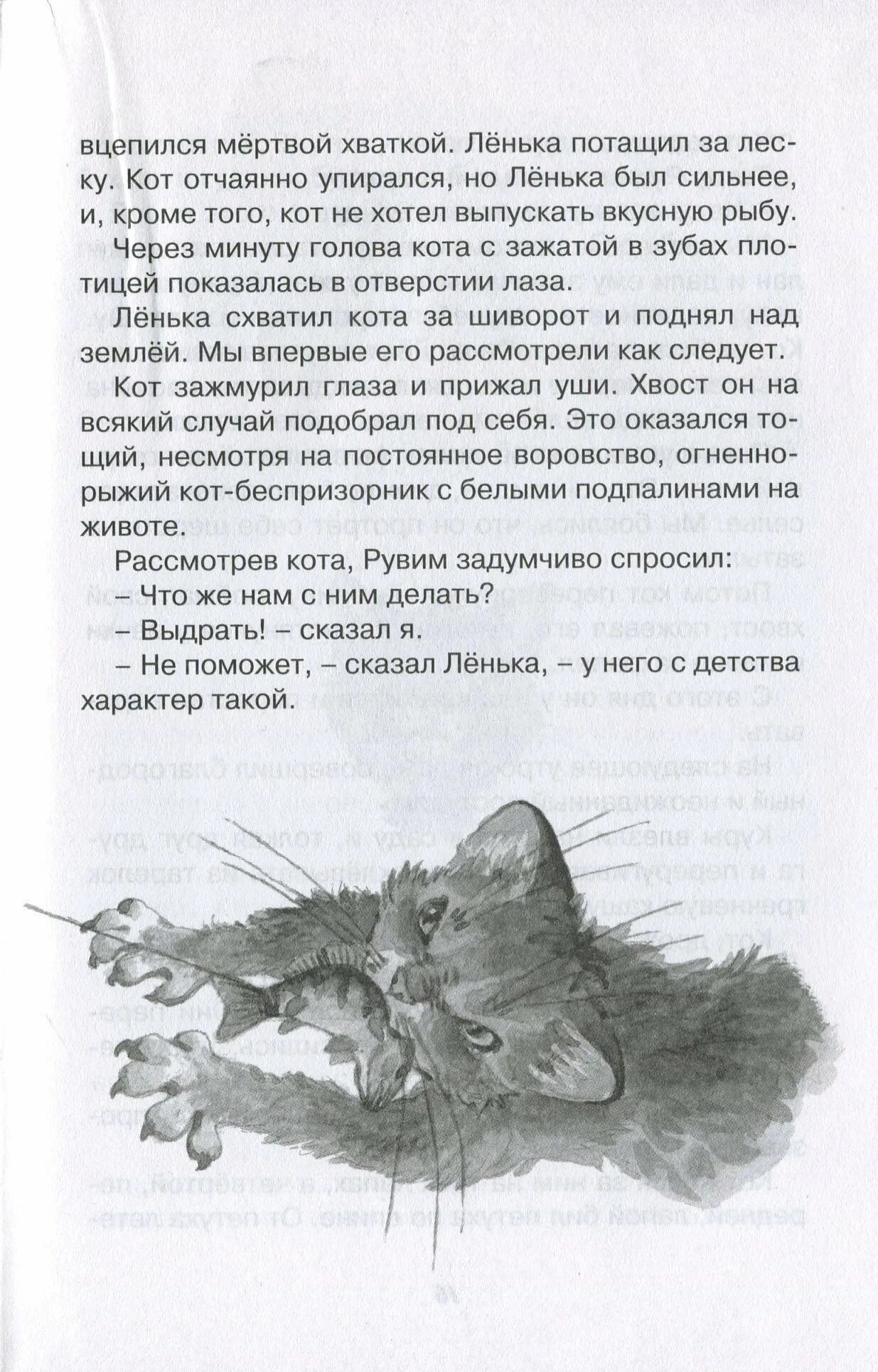 Книга про кота читать. Кот ворюга рассказ Константина Паустовского. Рассказ Константина Паустовского кот. Кот ворюга Автор Паустовский. Рассказ кот варюгапаустовский.