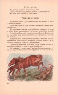 Рыжуха абрамов