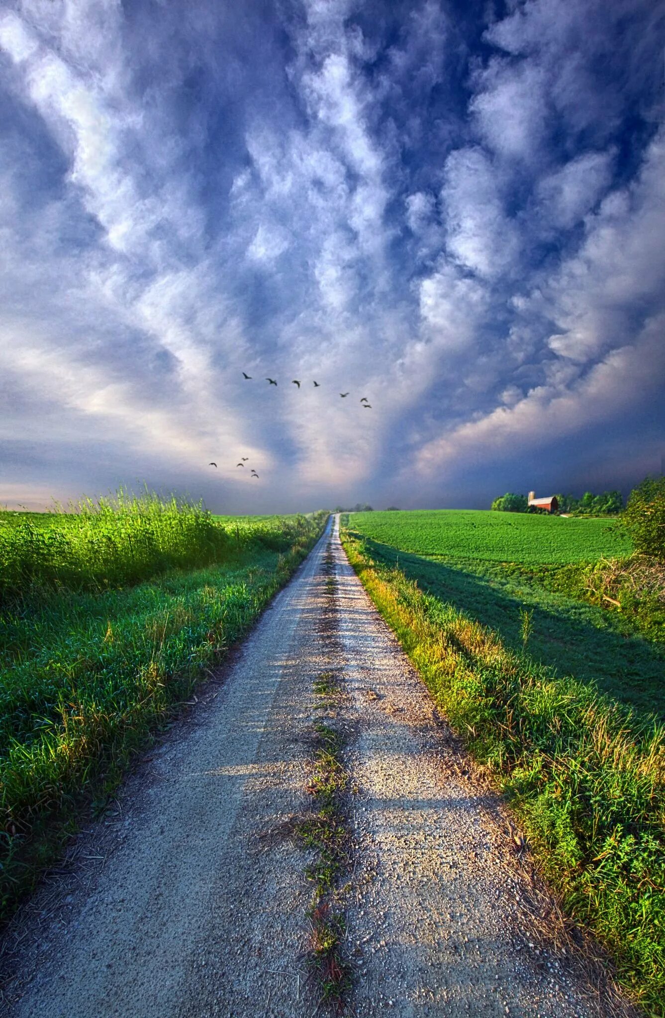 Пейзаж с дорогой. Дорога к небу. Красивая дорога. Природа дорога.