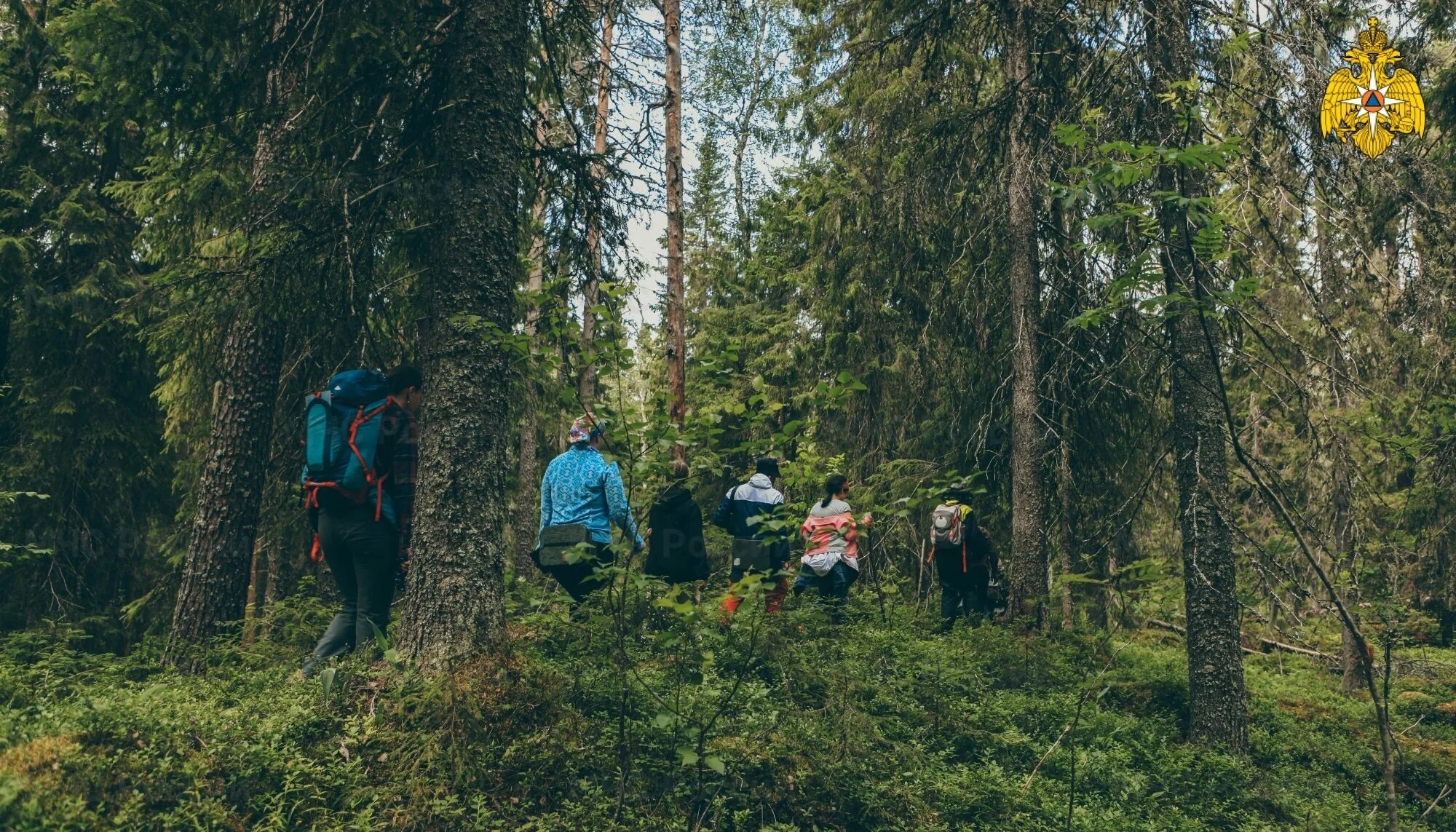 Экотуризм в Карелии. Карелия поход. Туристы в лесу. Туристы в Карелии. Туристические группы 20