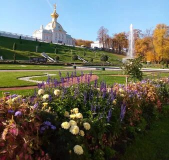 Погода в петергофе на завтра