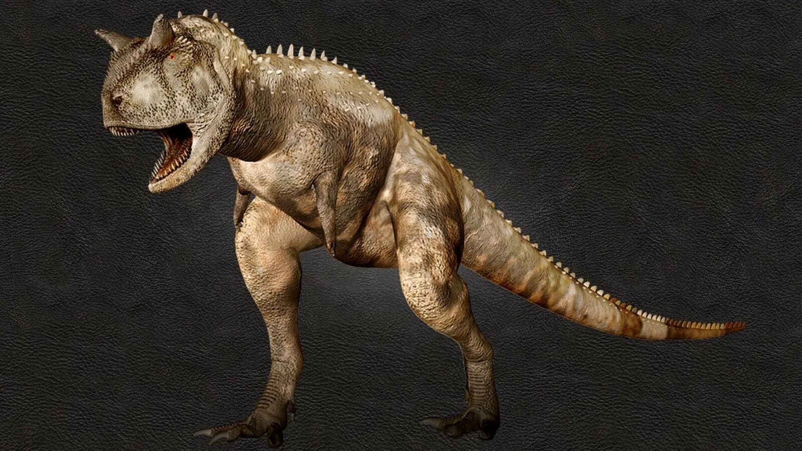 Карнотавр мир. Карнозавр. Динозавр Carnotaurus. Хищные динозавры Карнотавр. Карнотавр самец.