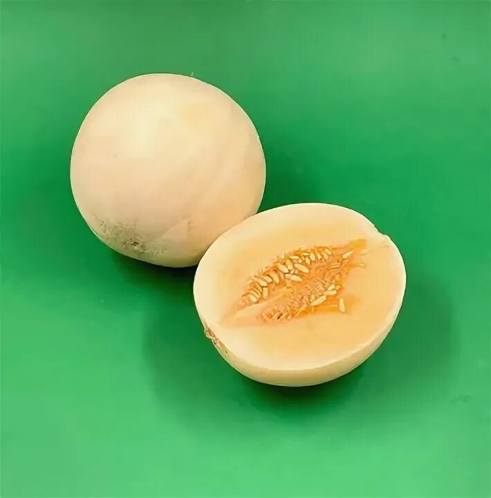 Грудная дыня. Молочная дыня.