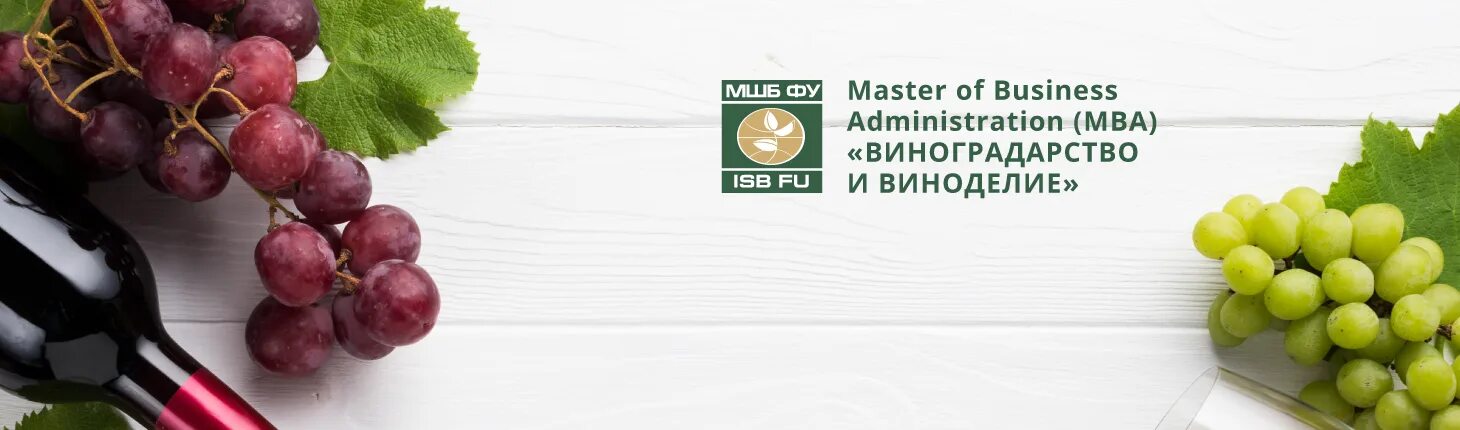 каберне совиньон сорт винограда. выращивание винограда и производство вина термин. день виноградарства и виноделия. бутылка каберне совиньон. виноделие в греции.