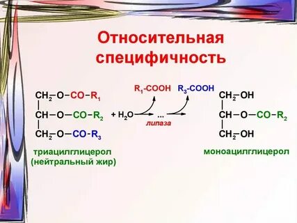 Ферментативная