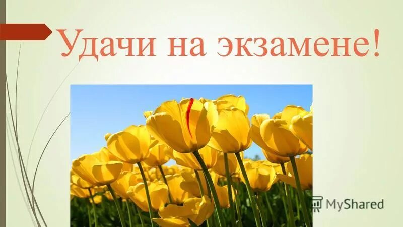 Пожелание удачи на экзамене. Экзамене. Удачи на экзамене. Пожелание удачи на экзамене. Удачи на экзамене.