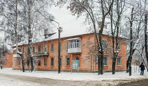 Могилев белинского