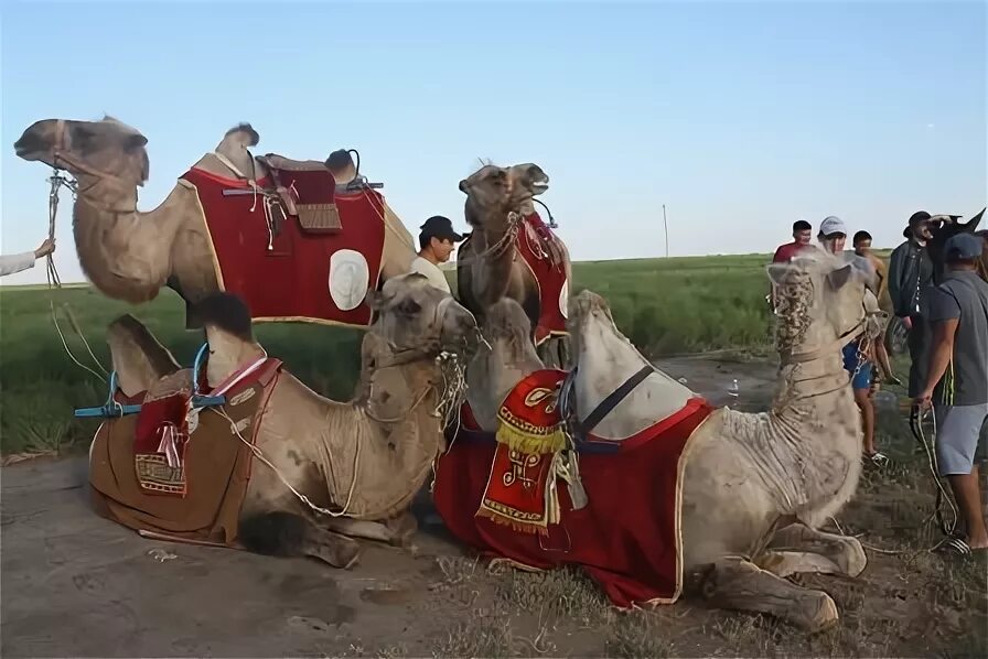 Бумба калмыкия. Страна бумба. Деревня адык в калмыкии. Бумба калмыкия. Адык калмыкия.