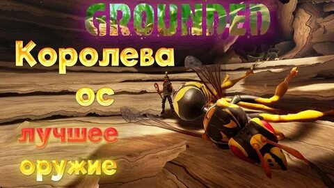 Королева grounded