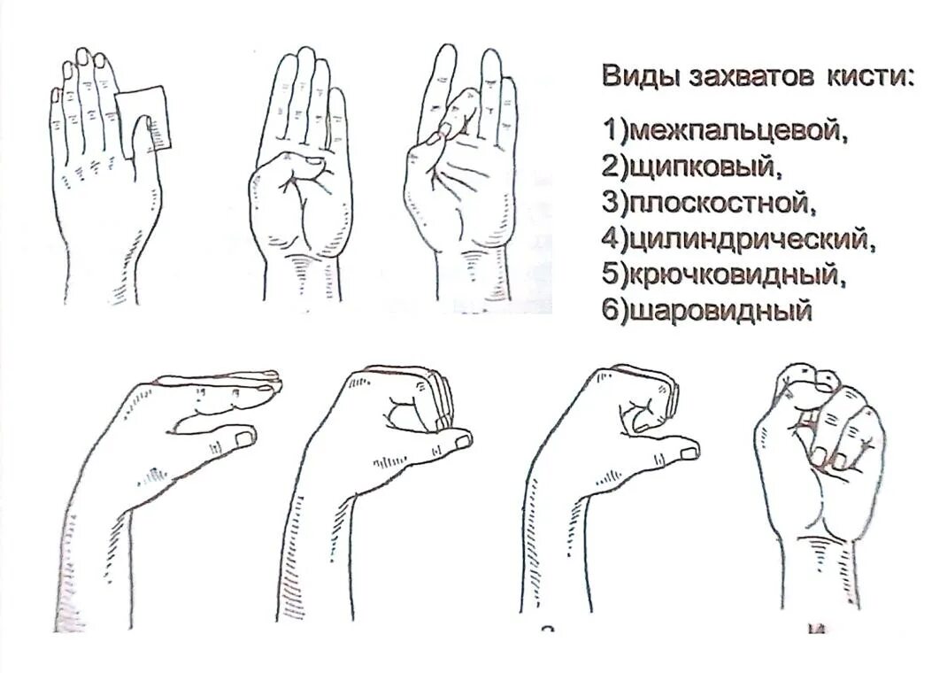 Типы схватов кисти. Виды захватов кисти. Цилиндрический захват кисти. Виды пальцевых захватов. Захват кистью