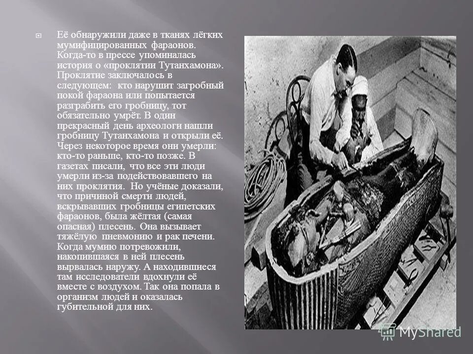 тутанхамон фильм 2005. гробница фараона хеопса мумия. проклятие гробницы фараона краткое содержание. проклятие египетской гробницы роберт лоуренс стайн книга. гробница тутанхамона мумия.