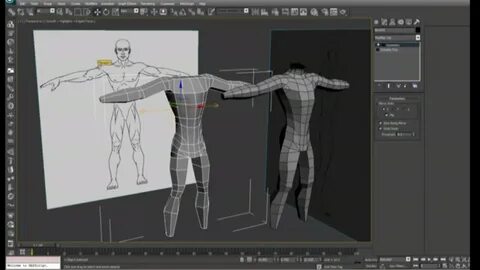 Nibuh 3d studio - hoogstrate.eu