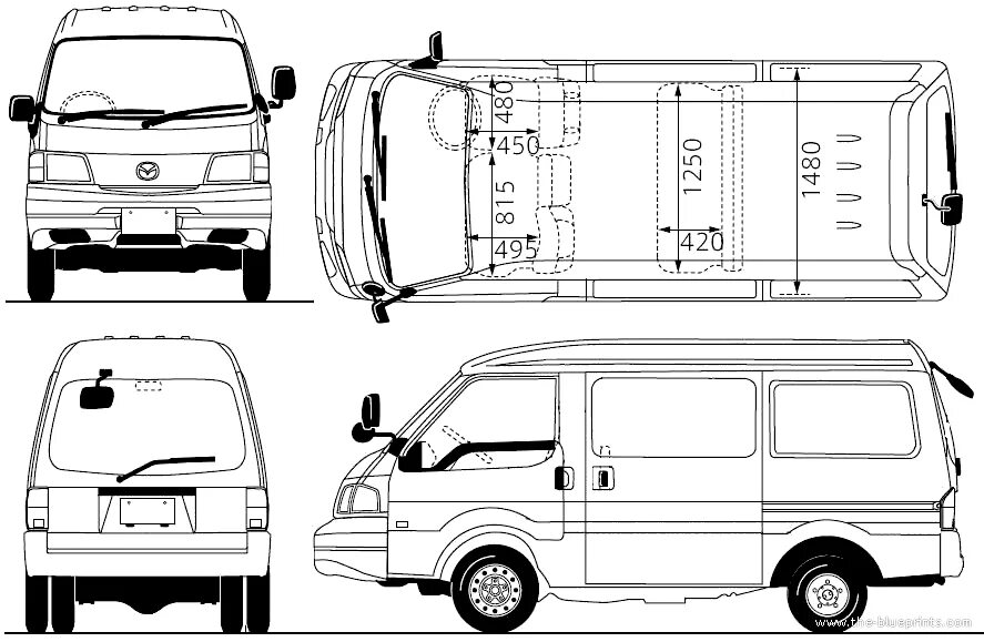 Бонго tycoon stb-b ma. Бело-оранжевая бонго. Бон гю. Разновидности бонго. Бонго.