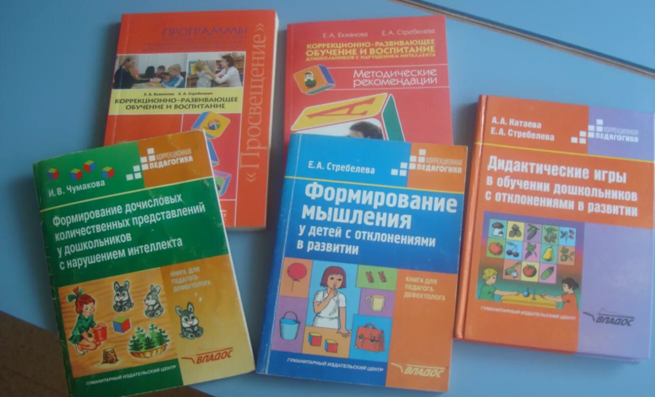 Программа по познавательному фоп