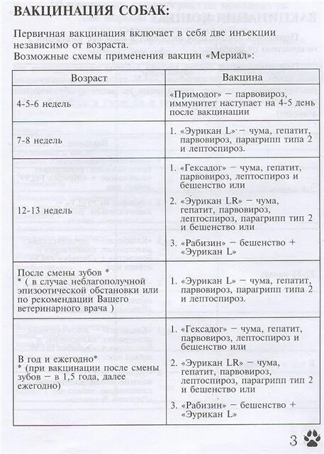 Эурикан схема вакцинации щенков. Схема вакцинации эуриканом собак. Схема прививок Эурикан для щенков. Схема вакцинации эуриканом собак щенков.