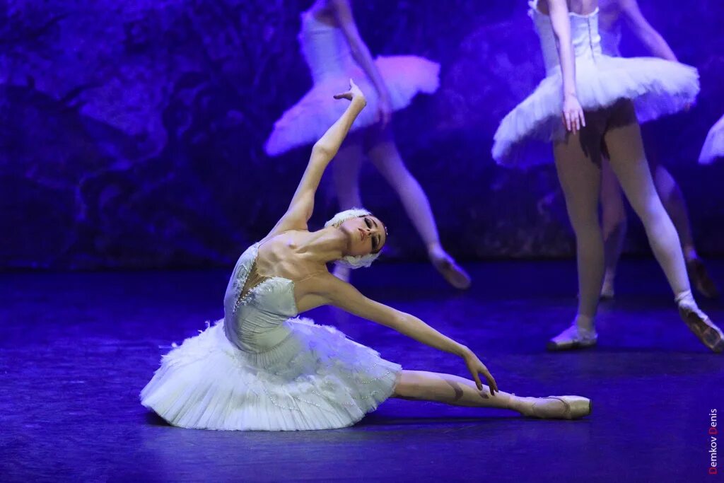 Имперский русский балет. Rus ballet. Русский балет. Балет лебединое озеро гордеева. +"русский балет" +григоськино.