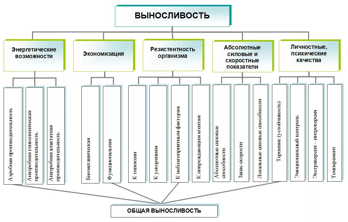 Классификация специальной выносливости. Общая и специальная выносливость схема. Методы развития выносливости схема. Специальная выносливость структура.