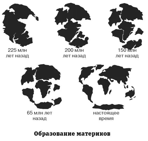 Название первых материков. Формирование материков. Очертания древних и современных материков. Формирование современных материков. История образования материков.