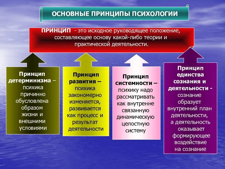 Основные принципы психики