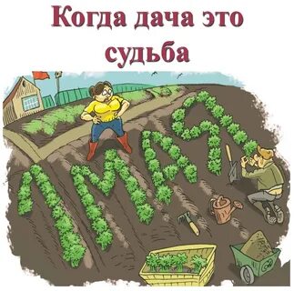 Сад смешные картинки